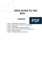 Annexes Kung Fu Wu Shu