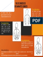 Identifica Las Vías de Ingreso de Contaminantes Químicos Al Organismo