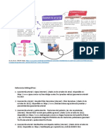 Gasometria Arterial Mapa