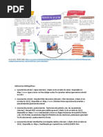 Protocolo de Esquema Zuspan en Preeclampsia | PDF | Unión neuromuscular ...