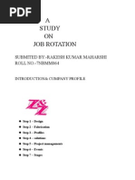 Download Job Rotation by sunil SN6505638 doc pdf