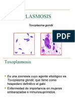 6.) Toxoplasmosis