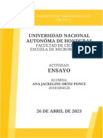 Asociación Entre Apicomplexas Intestinales y Pacientes Inmunocomprometidos