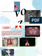 Voz