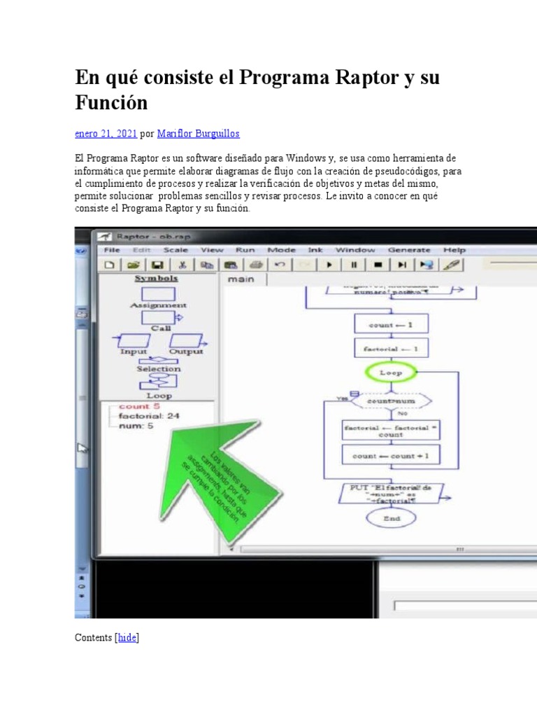 Programa Raptor y Su Función | PDF | Programa de computadora | Programación