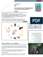 Sistema Endocrino Descarga de Elbibliote