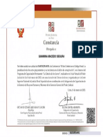 Constancia Participante