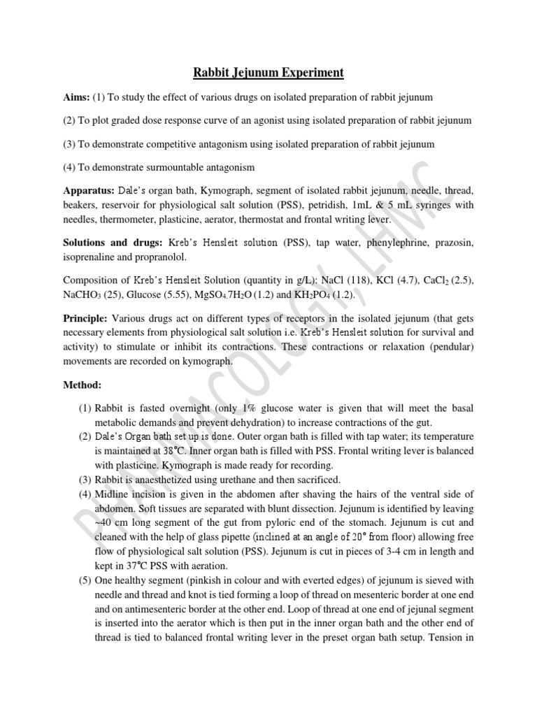 Effects of Drugs on Rabbit Jejunum | PDF | Receptor Antagonist ...