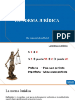 s5 PPT La Norma Jurídica