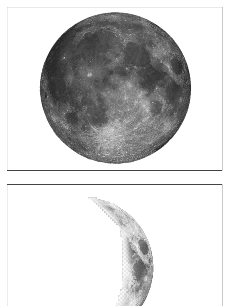Phases of The Moon PDF