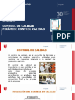 S-07 DEFINICIONES CONTROL CALIDAD-PIRAMIDE CONTROL