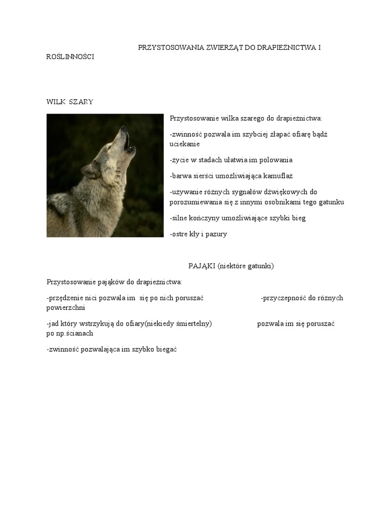 Przystosowania Drapieżników Przystosowania Zwierząt Do Drapieżnictwa i Roślinności | PDF