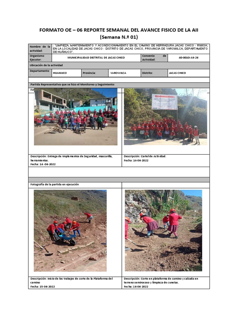 Formato Oe 06 Semana 01-40-0010 Aii 26 | PDF