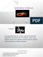 Diapositivas de Biologia
