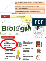 Clase 5 - Organización Sistema Nervioso (Central y Periférico) y Sus Funciones