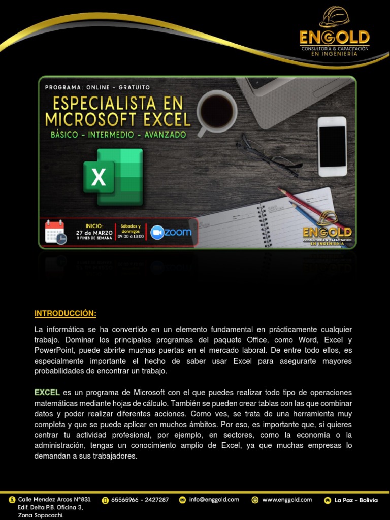 Info - Programa MS Excel | PDF