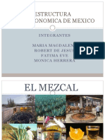 Estructura Socioeconomica de Mexico...