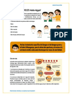 El Dengue y El Zancudo Aedes Aegypti