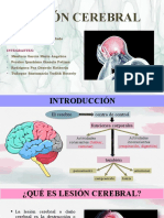 Lesión Cerebral