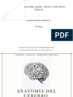 Anatomia Del Cerebro 1 348812 Downloable 1593106