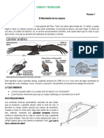 5° U2 S1 Recurso 1