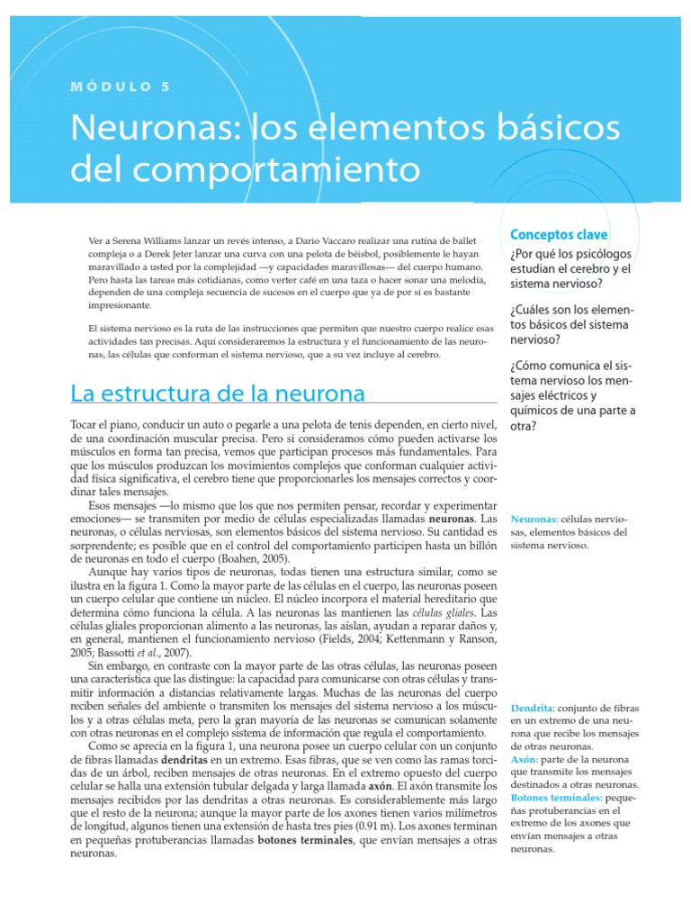 Neuronas | PDF | Neurona | Sinapsis