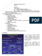 Endocarditis Infecto Belu