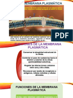 Membrana Plasmática.2021pptx