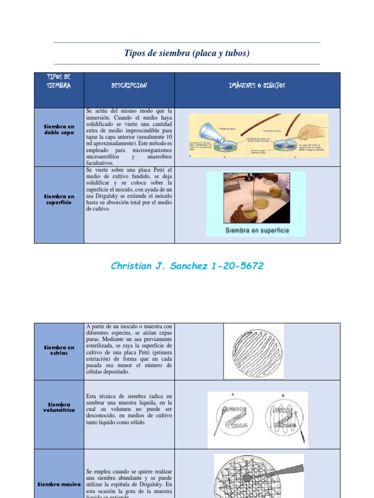 Técnicas de Siembra en Microbiología | PDF