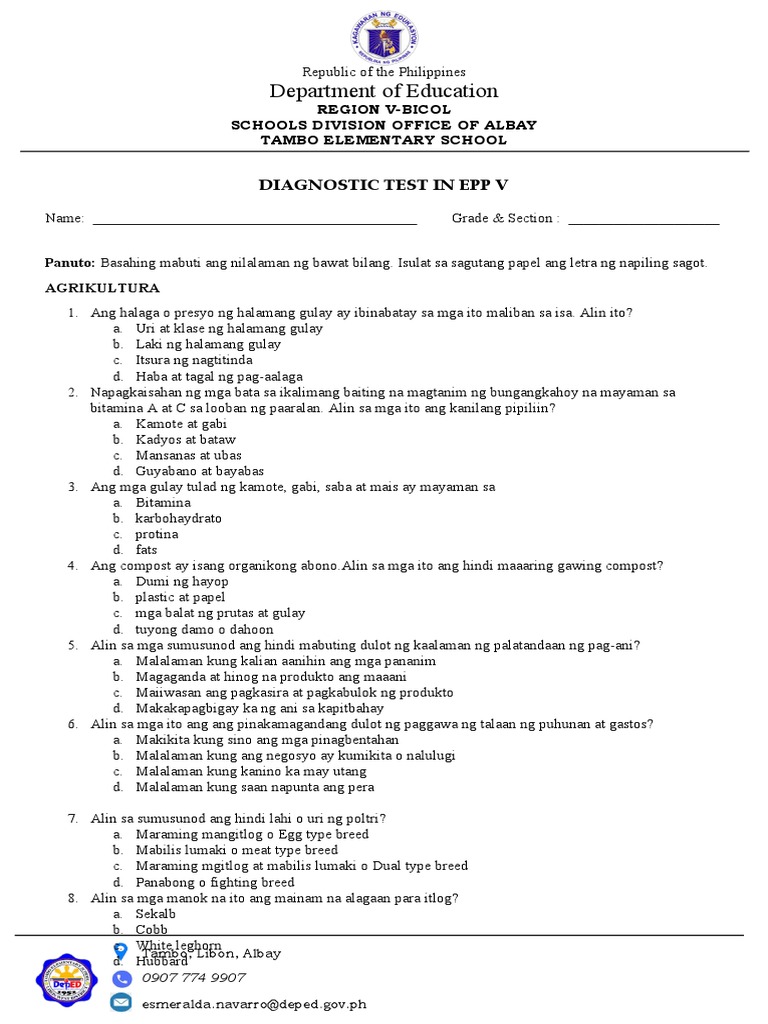 Diagnostic Test in Epp 5 | PDF