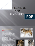 WILD ANIMAL and TAME ANIMAL