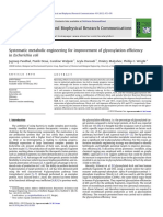 Systematic Metabolic Engineering For Improvement of Glycosylation Efficiency in E Coli