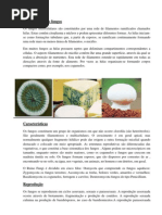 Download Constituio dos fungos by Marcia Lob SN65065788 doc pdf