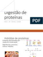 Digestão de Proteínas