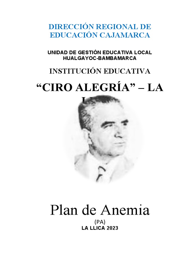 Plan Escolar y Anemia en La Llica 2023 | PDF | Educación primaria | Perú