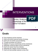 Interventions: Review: Anatomy and Physiology of The GU System Urine Formation