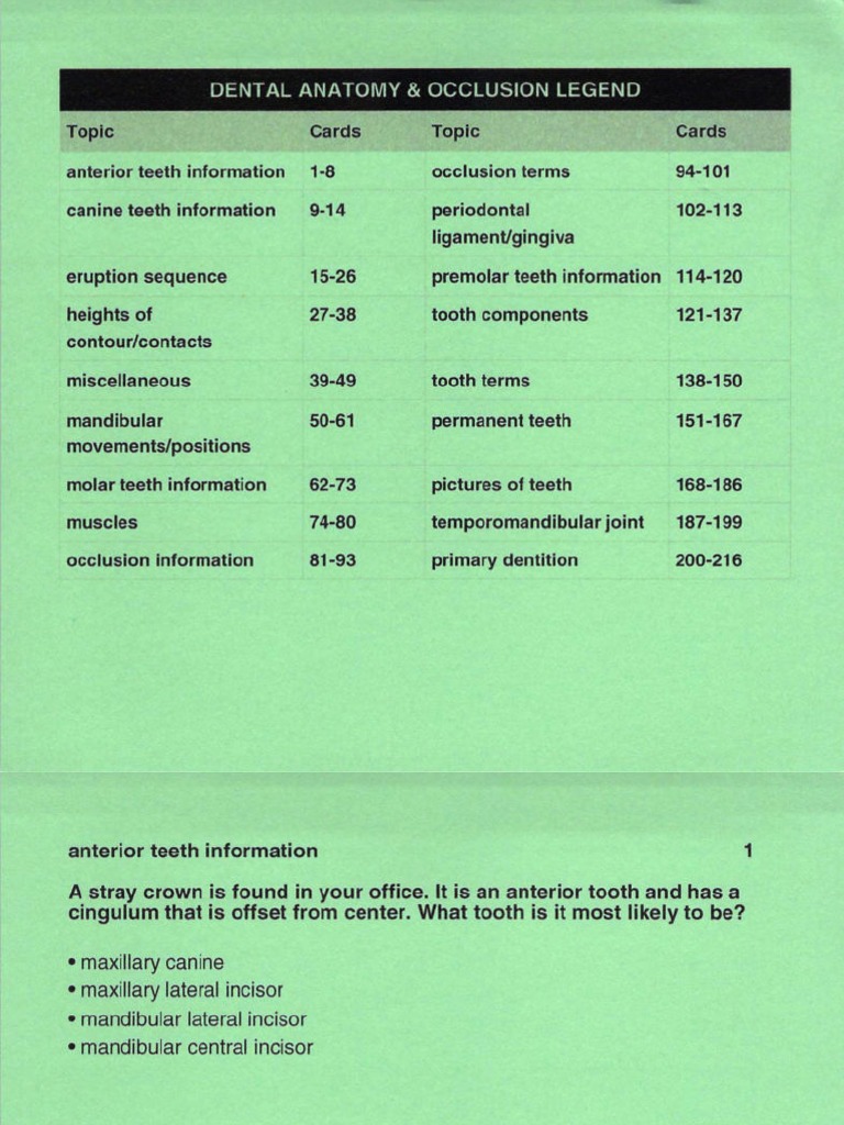Dental Anatomy and Occlusion PDF Animal Anatomy Human Anatomy