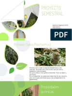 Proyecto Semestral Orgánica-1