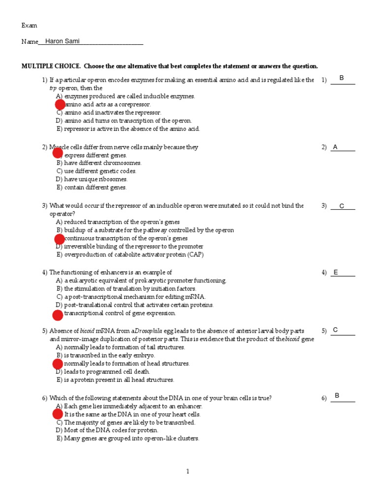 Gene Regulation Quiz Download Free PDF Complementary Dna Rna