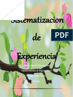 Sistematizacion de Experiencia