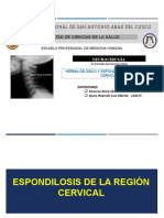 Hernia de Disco y Espondilosis de La Región Cervical