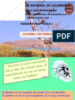 PDF Algebra Vectorial Presentacion Compress