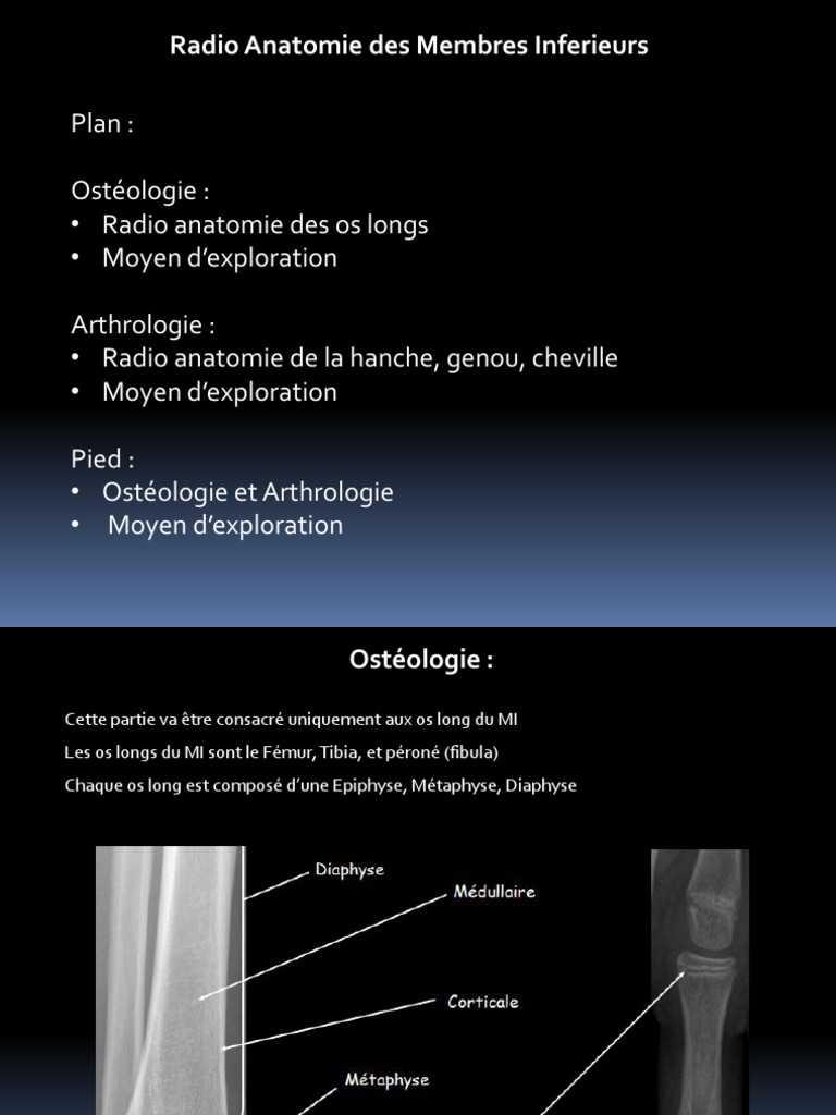 Farbige Notenmix Bleistifte mit dekorativem Schmuckstein