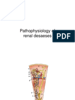EngDiv Renal Pathophysiol 2023