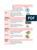 Celulas Clasificación