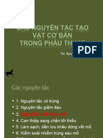 Cac Nguyen TC C BN Trong Phu Thut
