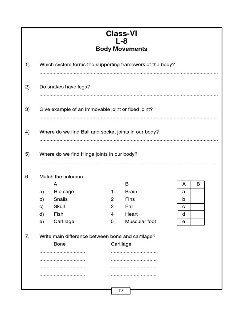 CBSE Class 6 Body Movements Worksheet PDF