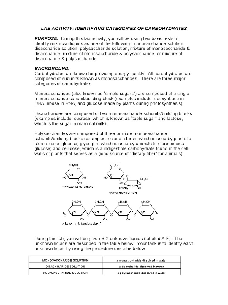 Sugar Lab PDF