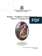 Protótipo-Projeto-Conehça-o-Corpo-Humano-Parte-01-Coração-na-Mão