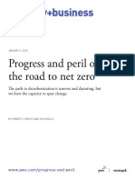 Progress and Peril Net Zero